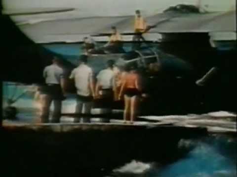 Great Planes - Catalina Pby