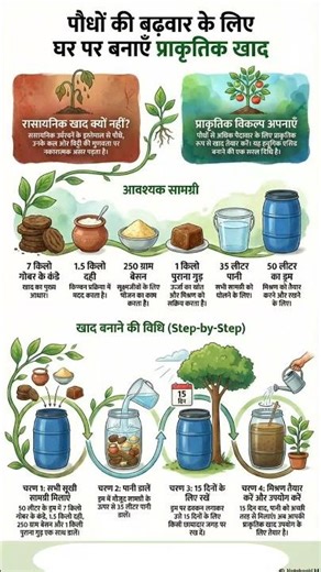 Homemade natural fartilizar, humic acid #farming #cropyield #fartilizer