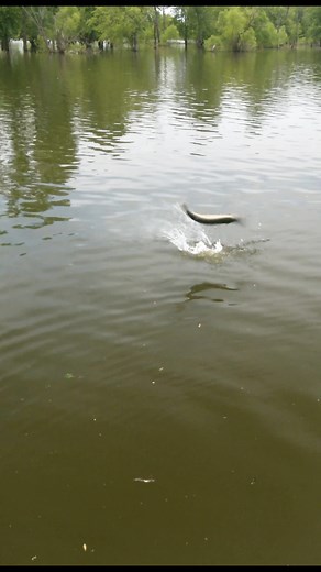 42K views · 620 reactions | Relentless Pursuit on Reels | Facebook