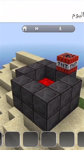 playing Minecraft drawing turtles