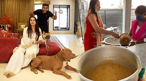 104K views · 2.7K reactions | One of The Biggest Pitbull at @Sanjjanaa Galrani House  | Pulkit VAMP | Facebook