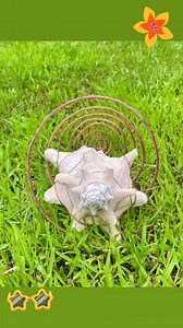 The spiral coil type, following the shell pattern, expands from small to large spirals, which may result in increased field frequency. #vibrationalhealing #vibes #vibration #meditation #relaxation #healingenergy | MineStone OnEarth