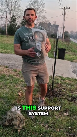 Secure Your Trees: The Best Support System for Windy Areas #shorts