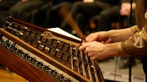 Tina Bergmann, Hammered Dulcimer - Lessons