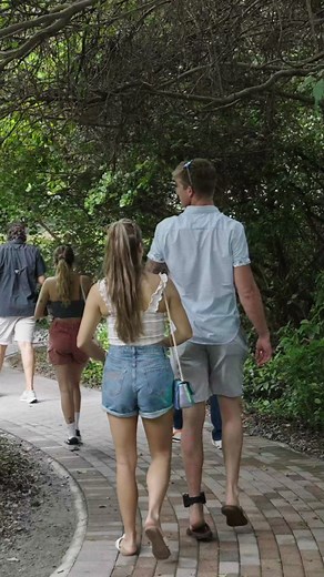 Discover the rich history of Florida's first inhabitants as we explore the intricate communities of the Jobe and Jeaga tribes and the formation of the Seminole Nation. 🏞️✨ Uncover the advanced archaeological techniques that bring these stories to life and preserve their legacy. Join us to experience the vibrant cultural heritage that has shaped Florida. Don’t miss out on this journey through time—it's a must-see for history enthusiasts and curious minds alike. Our Native American History and Ar