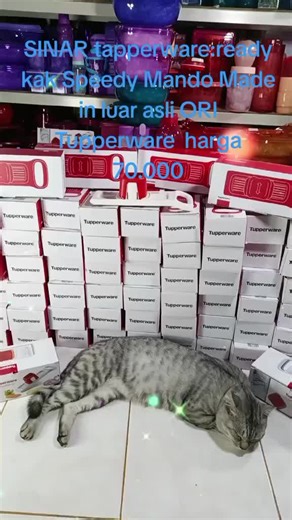 Promo Besar Tupperware dengan Diskon 50%!