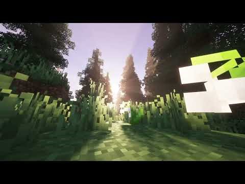 [ℙ𝕝𝕒𝕪 & 𝕃𝕚𝕤𝕥] Minecraft music 1 hour