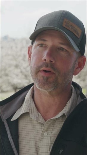 Rain Bird LFX Sprinklers are ideal for agriculture irrigation. #shorts #agriculture #sprinkler