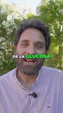 Descubre los Beneficios del Fenogreco para la Salud