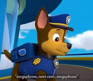 #Chaseisonthecase #Skye #pawpatrol #Skase