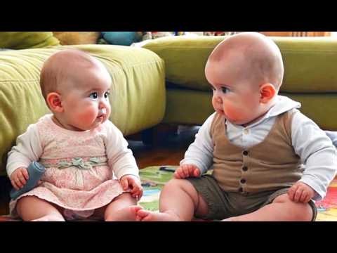 🔴 LIVE: 99.9% FAIL: Try Not To Laug - Funny Twins Babies Playing Together 😍 Cute Baby Videos