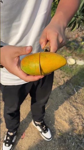 FruitFarmer~Dapeng's Amazing