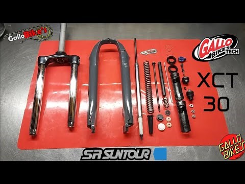 SR SUNTOUR XCT 30 MTB Suspension Maintenance | Mountain Bike Fork Service