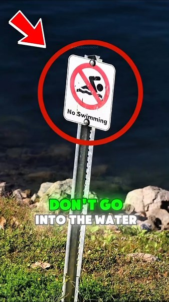 If you ever go to the beach and see this sign… don’t go into the water 😱 ⚠️