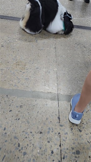 Jennifer Scott on Reels | Facebook