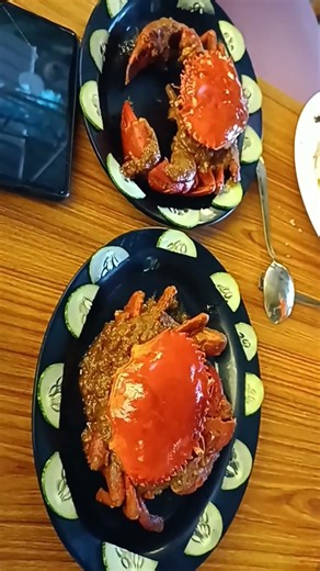 Havelock trip #music 🎵#havelock