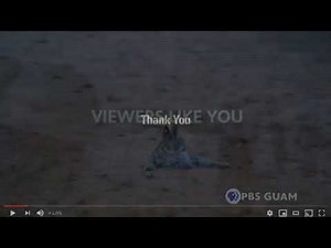 Viewers like you thank you compilation 27