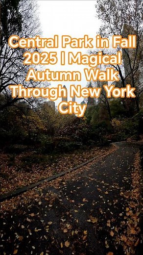 Central Park in Fall 2025 | Magical Autumn Walk Through New York City 4k #travel #newyork