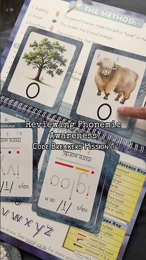 Phonemic Awareness Teaching How to Read & Spell Phonics Workbooks #phonicsforkids