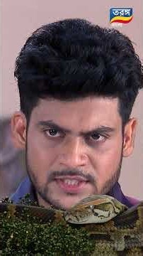 Maya | Shorts | Ep-179 | মায়া | Bengali New Serial | Tarang Bangla