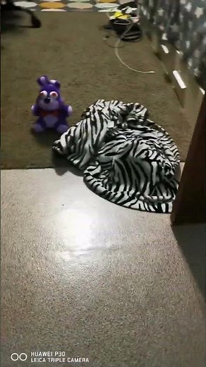 Edit python funk #edit #phonk