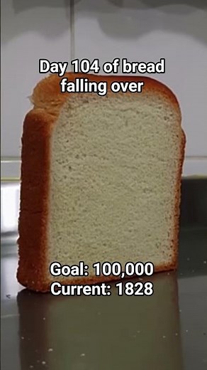 day 104 of bread falling over #bread #falling #over #breadfallingover