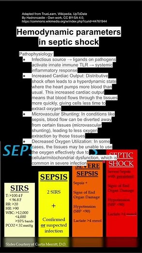 Hemodynamic parameters in septic shock