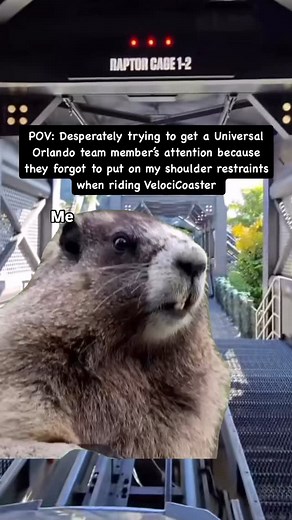 What do you mean there are no shoulder restraints 🙈 Whether you’re planning a thrilling vacation at Universal Orlando or looking for a more low-key adventure, I can help! Complete the quote form in my bio or contact me directly for assistance with your next trip. My services are always free, and I offer booking bonuses that vary based on your trip’s price. #VelociCoaster #universalorlando #islandsofadventure #universalstudiosflorida #JurassicWorld #RollerCoaster #funnyreel #themeparkthrills #Co