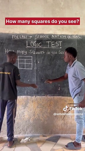 How Many Squares Can You Count?