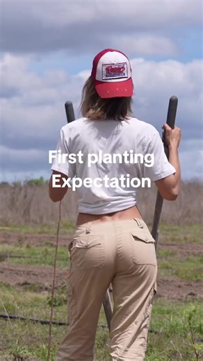 Exploring Agroforestry Systems in Farming