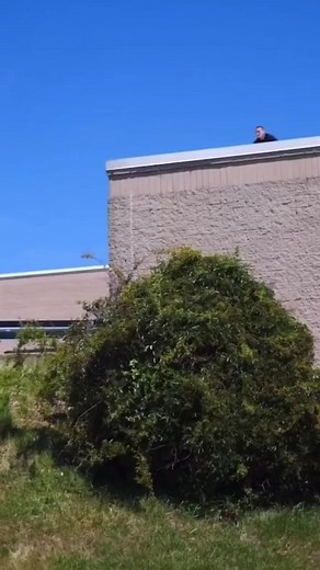 408K views · 3.7K reactions | Leg breaker to start the weekend right  #ig #igdaily #igtv #instagram #instagood #instalike #insta #viral #viralvideos #viralreels #viralpost #reels #réel #reelsinstagram #reelitfeelit #moto #motorcycle #dive #crustydemons #fleshgear Anthony Panza Justin Molea | Crusty Demons | Facebook