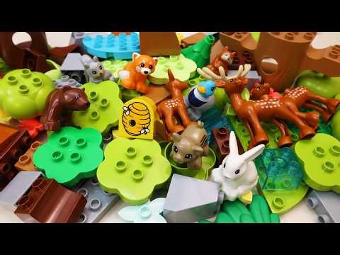Satisfying Building Blocks ASMR Lego DUPLO Animals in the Forest