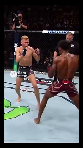 BEST Knockout in UFC History 😱‼️ #ufc