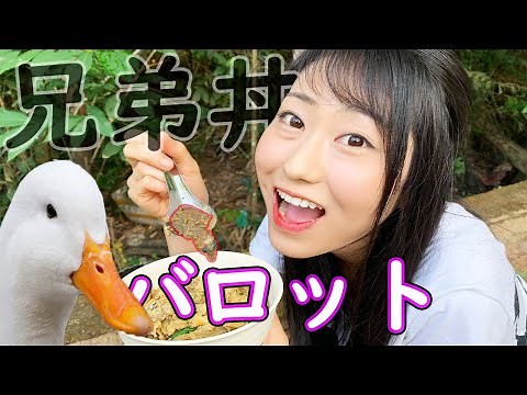 【おすすめベトナム料理】超絶品！孵化直前のアヒルの卵バロットで兄弟丼を作ったら最強に美味しかった/COOKING AND EATING Balut/Baby Duck Egg〔Vlog#13〕