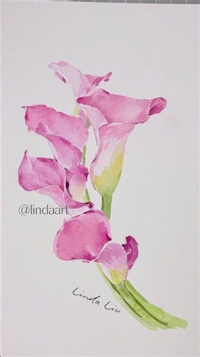 Watercolor calla lily #art #painting
