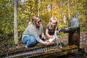 Fall Colors-Official Washburn County, WI Tourism Website