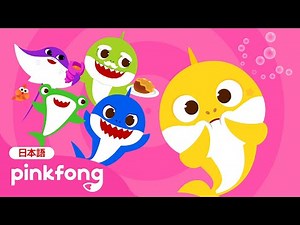 ベイビーシャーク😵‍💫シャックリ! | サメのかぞく | Baby Shark Hiccup 日本語バージョン | ベイビーシャークと歌おう | 子どもの歌 | ベイビーシャークとピンキッツ
