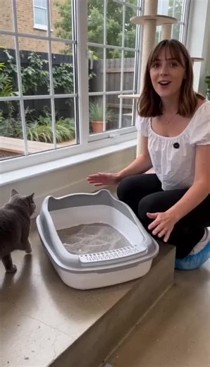 Extra Large Cat Litter Tray Review