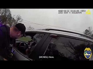 Police video shows Florida officers punching William McNeil Jr.