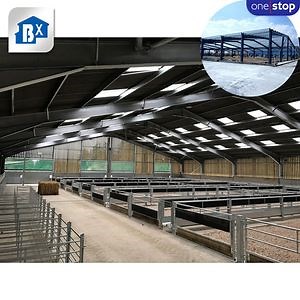 [Hot Item] Strong Adaptability Prefabricated Apartments Offices Modular Hotels Container Luxury Farm Mobile House