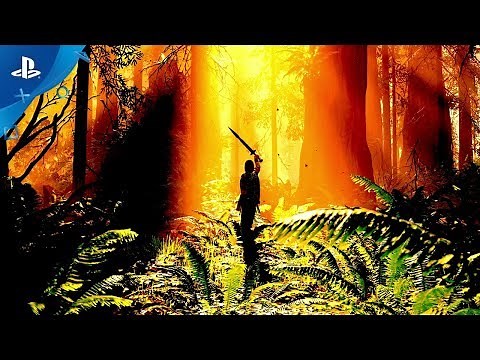 Shadow of the Colossus - Photo Mode Gameplay Walkthrough | PS4