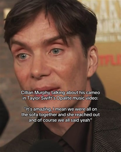 His cameo is iconic even though its just him on a wall 😂 #taylorswift #cillianmurphy #opalite #musicvideo #swifties