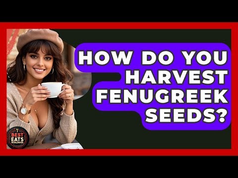 How Do You Harvest Fenugreek Seeds? - Best Eats Worldwide