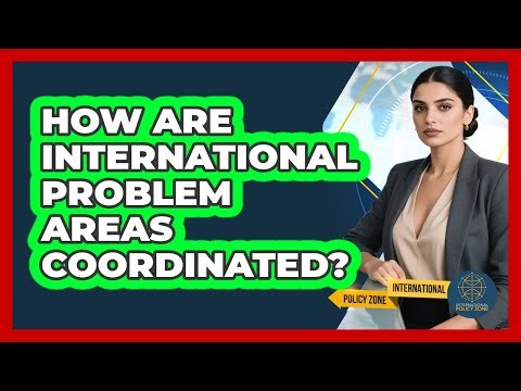 How Are International Problem Areas Coordinated?