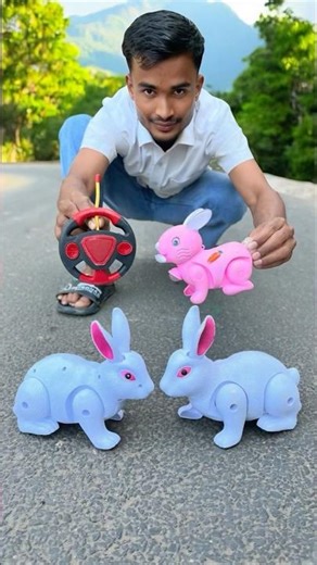 White And Pink Remote Control Khargosh Testing Korse