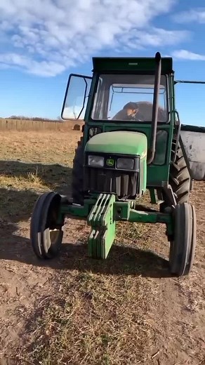 Dog Driving Tractor in Rural Setting