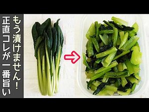 ５分で簡単！絶品！「小松菜の浅漬け」病みつきになる美味しさ！浅漬けを使った副菜も紹介・小松菜簡単作り置き・常備菜・小松菜レシピ・小松菜レンジ
