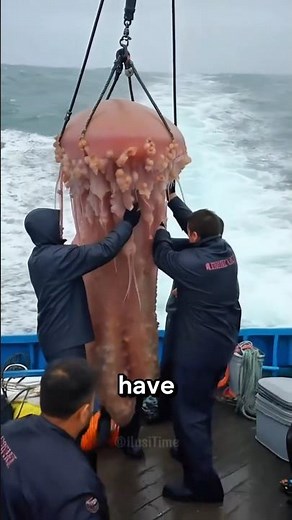 Stop Catching Jellyfish‼️😱