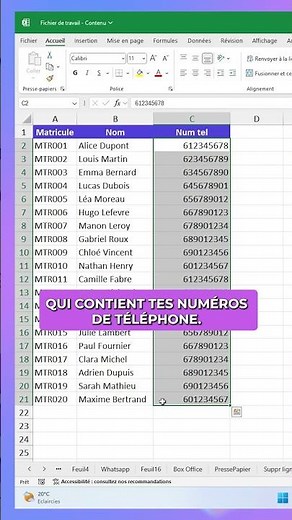 Formatting a Phone Number in Excel