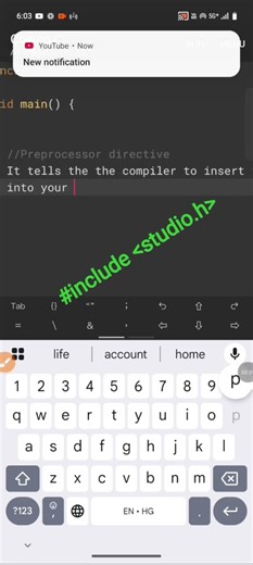 What is preprocessor directive